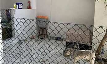 Imagem 6: SOBRADO ,OFERTA ! R$ 850.000,00 , 4 DORMITÓRIOS ( 1 SUITE ) , 4 VAGAS , ESPAÇOSO CANIL