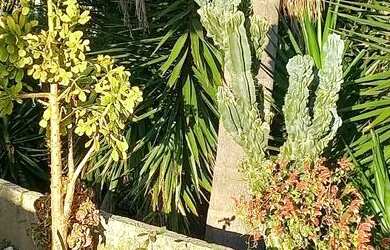 Imagem 2: Chacara Casa com 4 dormitórios