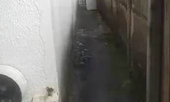 Imagem 5: 05 - VIANA - ES Casa com 2 dormitórios