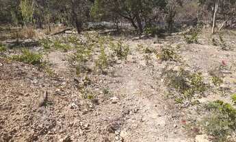 Imagem 4: Terreno de 5.000m² - Próximo ao Club de Acqua Cerrado