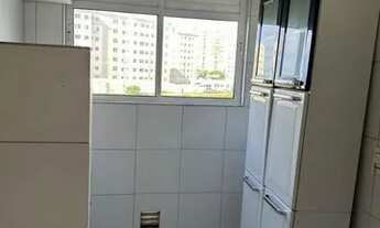 Imagem 5: Cores de Piatã 2/4 valor 1650,00