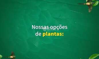 Imagem 4: Maitá Residencial - Mac Lucer Lançamento 2 e 3 dormitórios