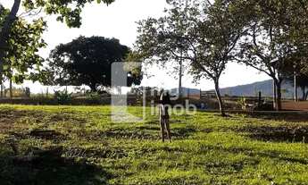 Imagem 7: Fazenda 20 Alqueires em Pirenópolis