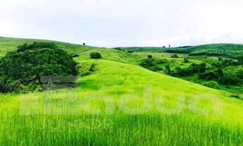 Imagem 5: Fazenda em Indiaroba com 163 Tarefas