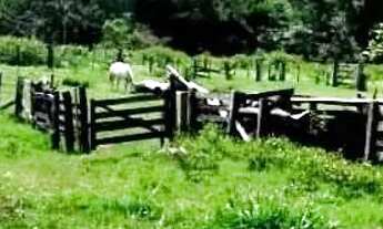 Imagem: Fazenda de Oportunidade em Ivolândia
