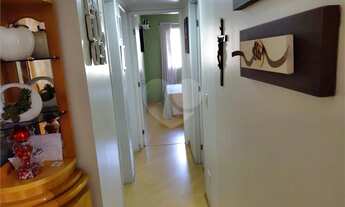 Imagem 3: Apartamento com 3 quartos à venda em Santa Teresinha - SP