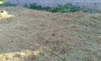 Imagem 2: Vendo terreno em Barra de São