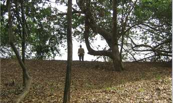 Imagem 2: Pesqueiro / Lote / Rancho - Rio das mortes- cocalinho