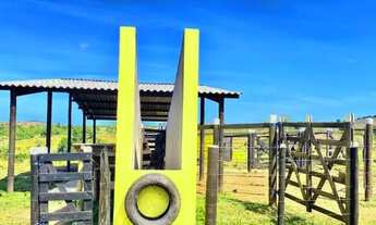 Imagem 4: Fazenda em Indiaroba com 163 Tarefas