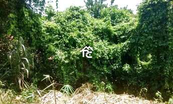 Imagem 7: Terreno à venda, 1350 m² por R$ 330.000,00 - Mata Paca - Niterói/RJ