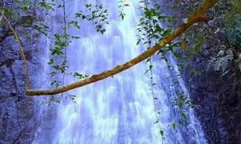 Imagem 2: Área Rural com 50ha