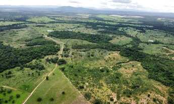 Imagem 7: Fazenda à Venda - 294 Alqueires Tocantins, na divisa com Goiás