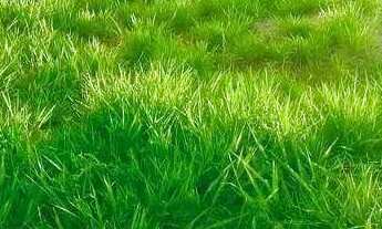 Imagem: Terreno à venda, 360 m² por R$ 320.000,00