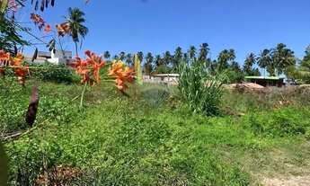 Imagem 11: No Paraíso de Tatuamunha tem umTerreno esperando por você!