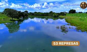 Imagem 4: FAZENDA PLANA GADO SOJA MILHO ALTO PADRÃO