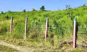 Imagem 4: Fazenda em Pilar- AL com 26 hectares na zona da Mata