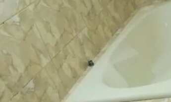 Imagem 3: Aluguel Casa em condomínio com 4 dormitórios