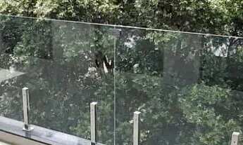 Imagem 2: SALA, 2 QUARTOS (SUITE), VAGA DE GARAGEM