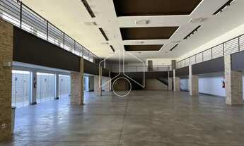 Imagem 3: Comercial GalpãoBarracão em Marília