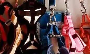 Imagem 4: Passo Pet Shop Galpão / depósito com venda por R$32.000