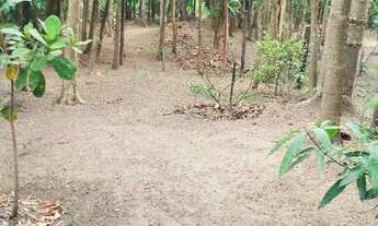 Imagem 6: Rancho à venda no Rio Mogi Guaçu em Guatapará SP