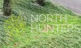 Imagem 6: 3 Casas à venda no bairro Petrópolis, Joinville, SC