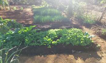 Imagem: Sítio - Chácara Próx. De Montes Claros