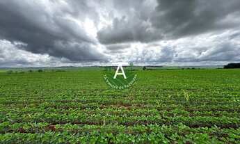 Imagem 4: Fazenda de 41,5 alq na soja