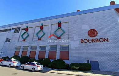 Imagem 7: Casa em Rua Roque Gonzales - Jardim Botânico - Porto Alegre/RS