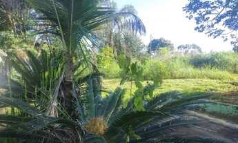 Imagem 4: SÍTIO À VENDA - 9,6 HECTARES (02 ALQUEIRES