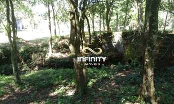 Imagem 4: Chácara à venda, 2500 m² por R$ 266.000,00 - Cadiz - Gravataí/RS