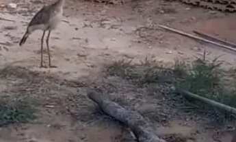 Imagem 4: Terreno em Taquaracu de Minas