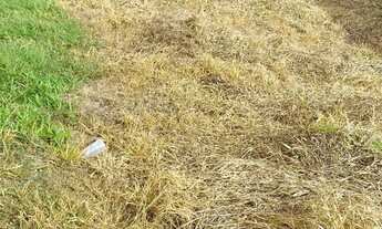 Imagem 5: Vende se terreno na Vila Dos Eucaliptos