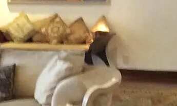 Imagem 4: Apartamento para aluguel possui 374 metros quadrados com 3 quartos em Lagoa - Rio de Janei