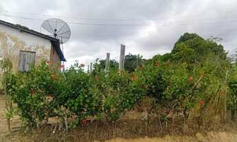 Imagem 2: SITIO - ORICURI ATALAIA - AL