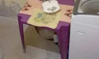 Imagem 5: Vendo kitnet Casa com 2 dormitórios