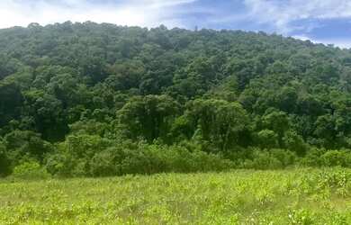 Imagem 2: Excelente Oportunidade: Terreno à Venda em Ibiúna SP