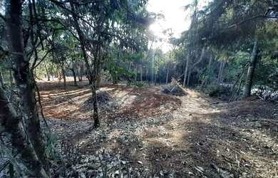 Imagem: Lote em Rua Aloísio Tega - Chácara San