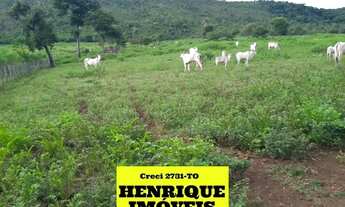 Imagem 4: Fazenda no Tocantins Porto Nacional