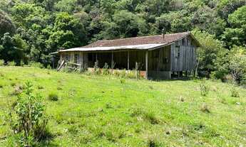 Imagem 6: Sítio/chácara/terreno - 7 hectares - Alfredo Wagner