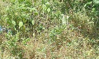 Imagem 5: Vendo Casa Olaria