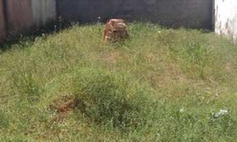 Imagem 6: Lote/Terreno para venda possui 130 metros quadrados em Samambaia Norte - Brasília - DF