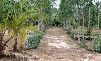 Imagem 4: Sítio Cajupary Chácara com venda por R$250.000