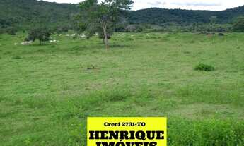 Imagem 7: Fazenda no Tocantins Porto Nacional