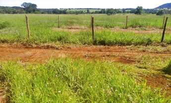 Imagem 3: Chacara a 40 km de goiania entre Teresópolis e Nerópolis 1000 metros com energia