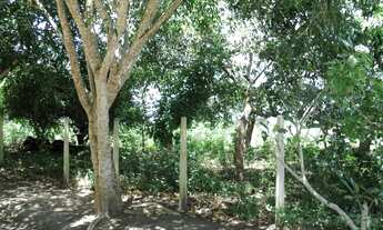 Imagem 2: Terreno com 1 Hectare ao lado da Exposição de Animais de Carpina