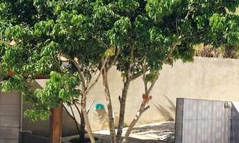 Imagem 2: Fazenda/Sítio/Chácara para venda possui 2354 metros quadrados em Centro - Itapeva - MG