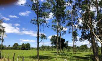 Imagem 3: Sítio Iguape 6 alqueire duas casa