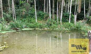 Imagem 5: Mogi das Cruzes - Sítio - Taiacupeba