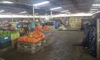 Imagem 2: Área comercial de 800 m2